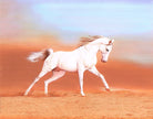 White Horse Miniature Painting: Real Gold Ink, Stone Colors