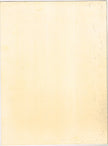 Indian Noah's Ark Of Mughal Era Hand Miniature Fine Art With Border
